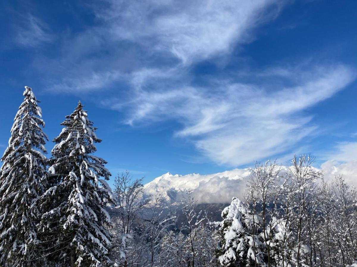 Il Ciapine Bed & Breakfast Giaveno Dış mekan fotoğraf